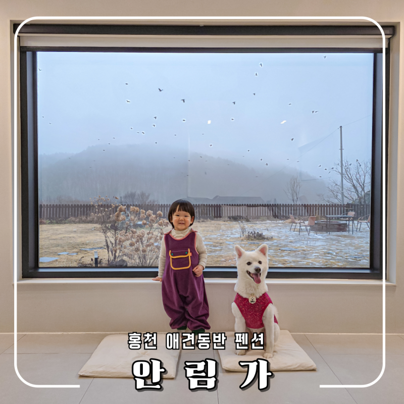 사진 5