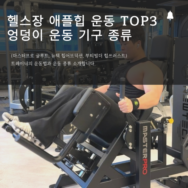 헬스장 엉덩이 운동 기구 사용한 남자 여자 애플힙 운동 TOP3(마스터프로 글루트, 뉴텍 힙어브....