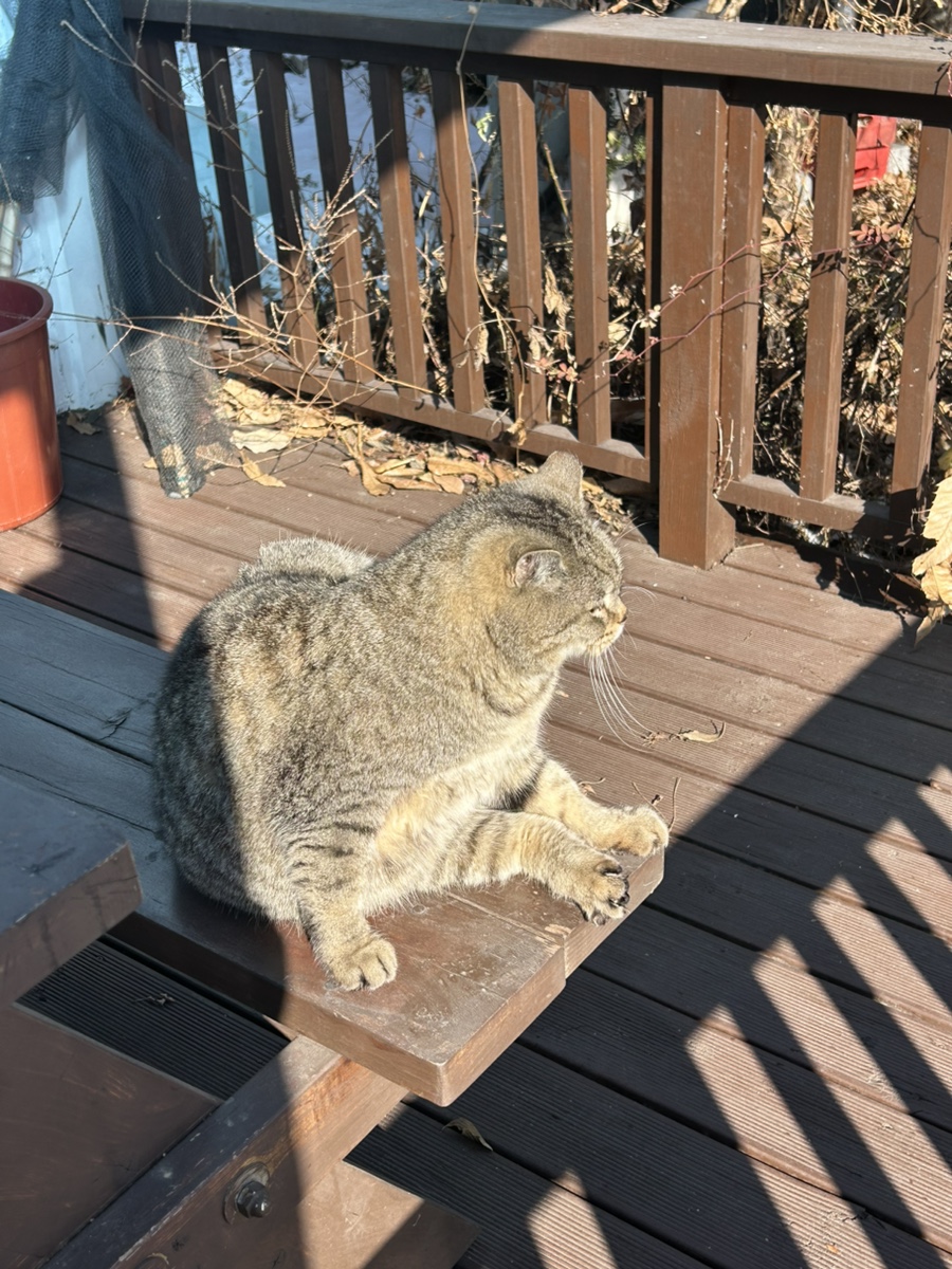 성희만두 사진 3