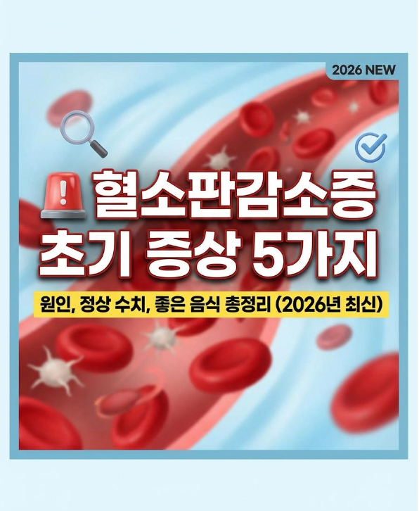 혈소판감소증 초기 증상 5가지원인·정상 수치·좋은 음식까지 한 번에 정리 (2026 최신)