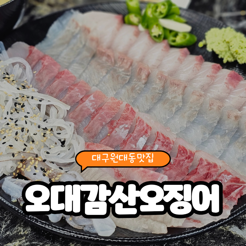 오대감 산오징어 사진 1