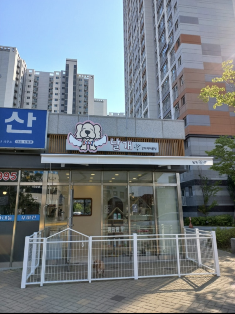 사진 3