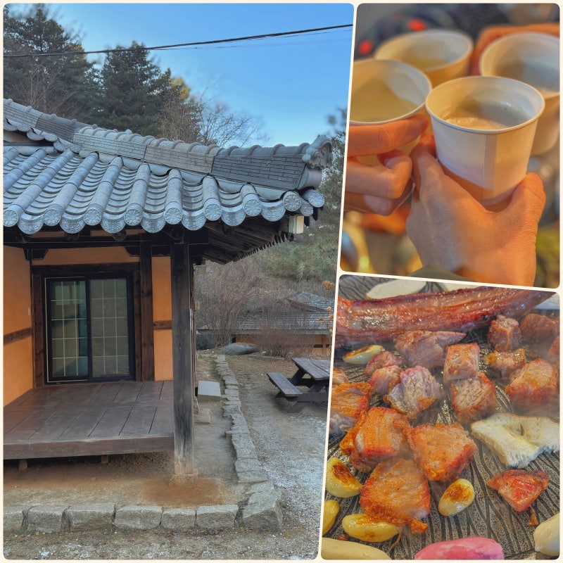 경기도 양평 단체 펜션 워크샵 혼자는못해 찜질방 독채 숙소 대가족 여행 추천,맑은숲캠프