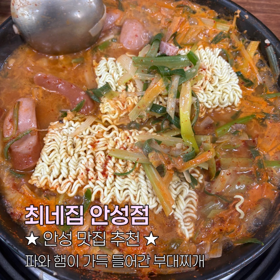 최네집 안성점 사진 1