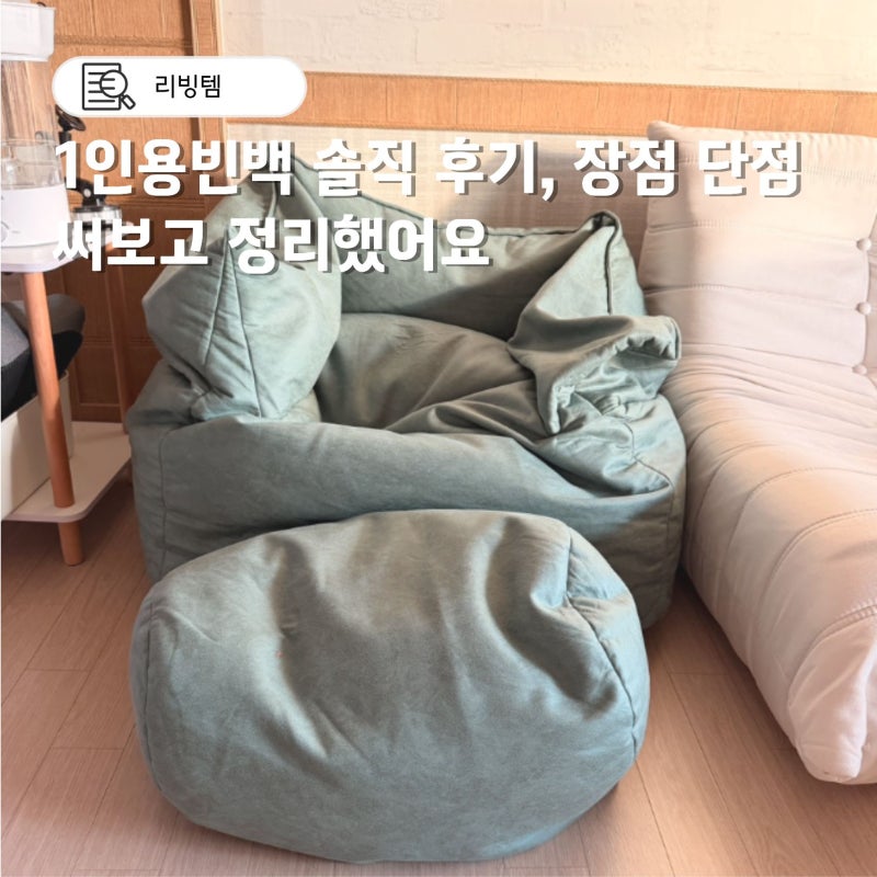 1인용빈백 보니타빈백 솔직 후기, 장점 단점