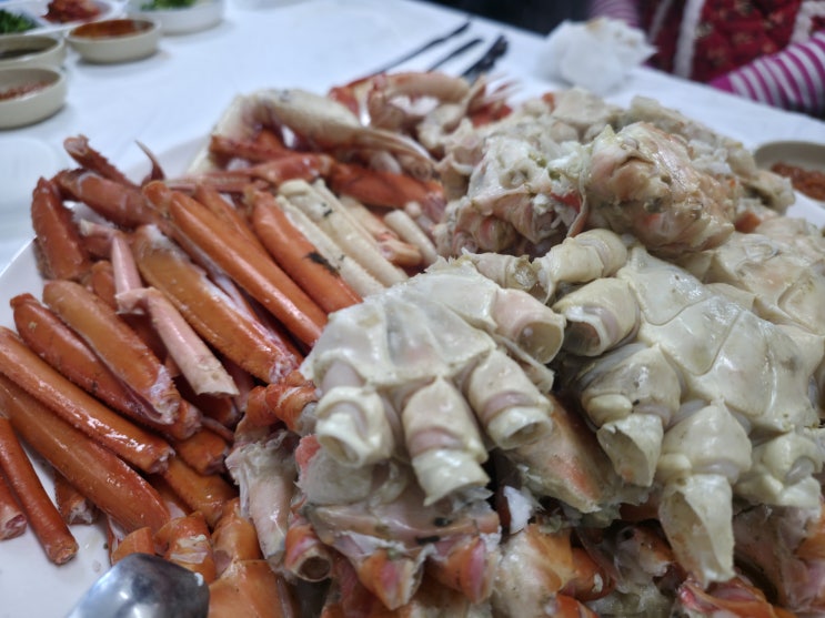  영덕 동광어시장 강구항 대게 맛집 67호