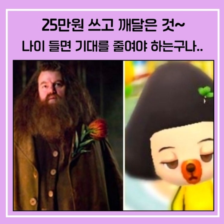  25만 원 쓰고 깨달은 건, 나이 들면 기대를 줄여야 한다는 것