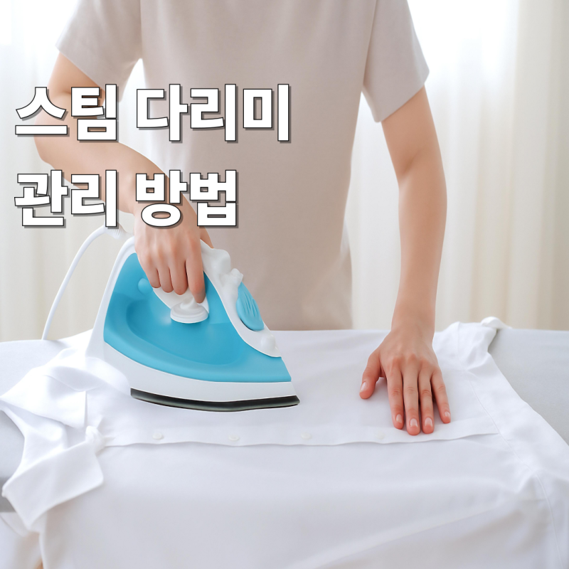 스팀 다리미 관리 방법 알아보기!