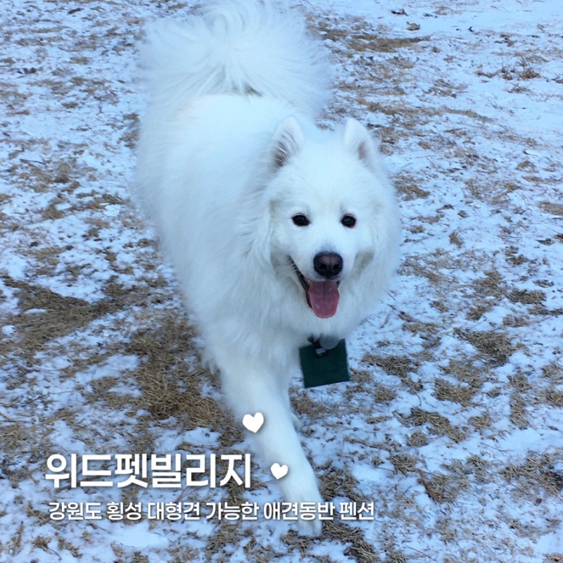 사진 8