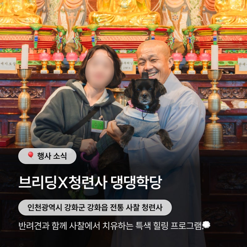 사진 6
