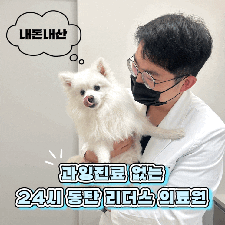  동탄 동물 병원 24시 동탄 리더스 동물의료원 건강검진 내돈내산