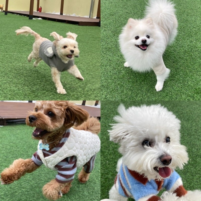 사진 7