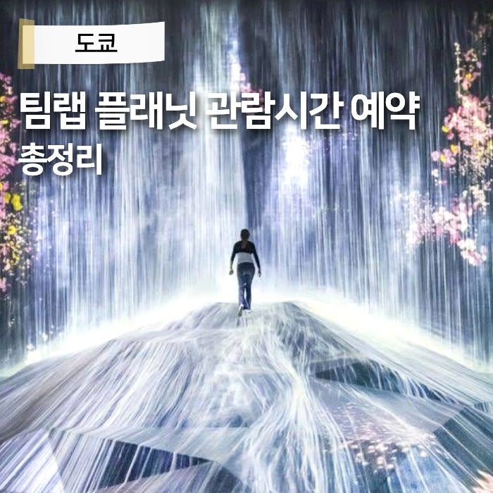 도쿄 팀랩플래닛 위치 가는법 시간 예약 방법 가볼만한곳