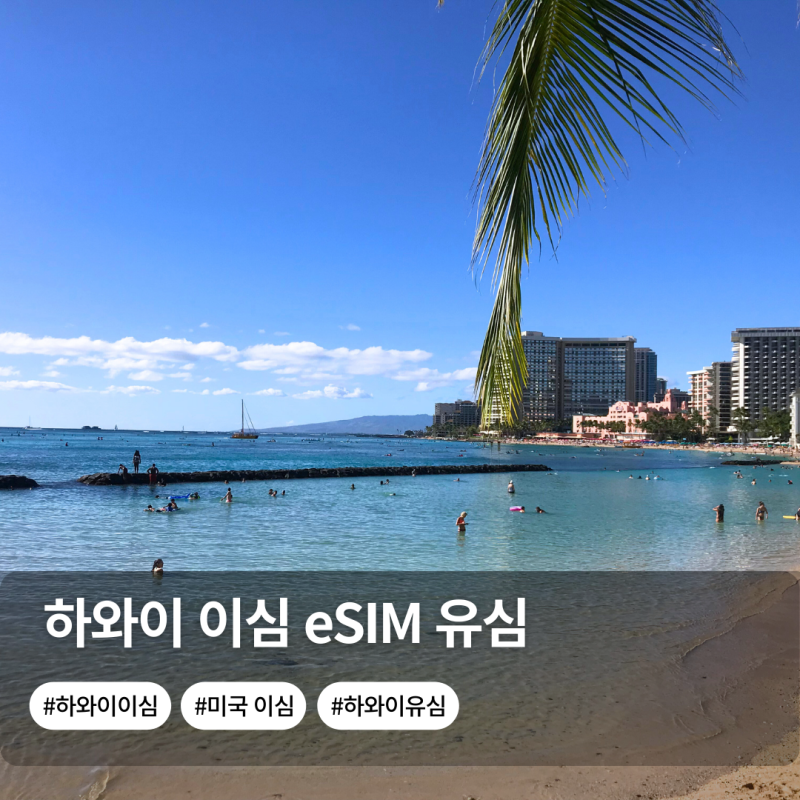 미국 이심 유심칩 하와이 esim 사용법 추천