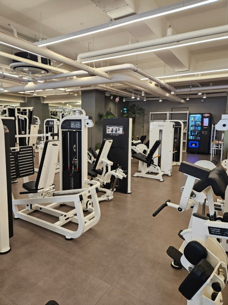  선부동 헬스장 5회차, 6회차 피티 후기 빌리프짐 선부역점