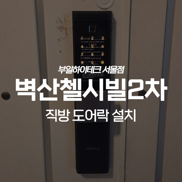  용인 수지구 성복동 성남마을벽산첼시빌2차 직방 도어락 교체 설치
