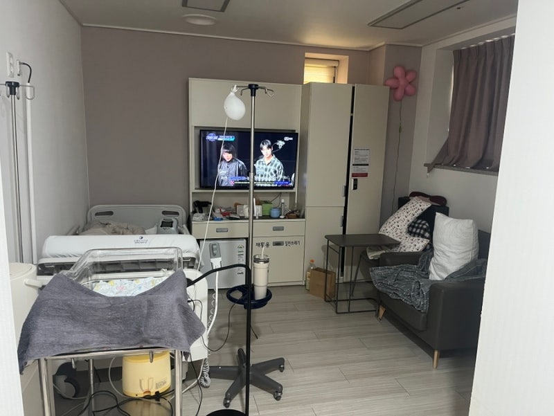 [죽다 살아난 제왕절개 수술 후기] 은평구 은혜산부인과에서 건강한 쌍둥이 출산했어요 :)