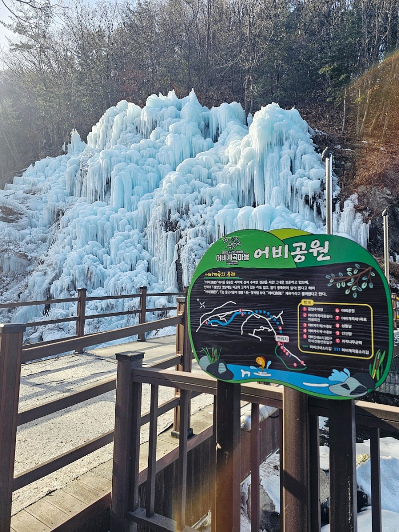 사진 7