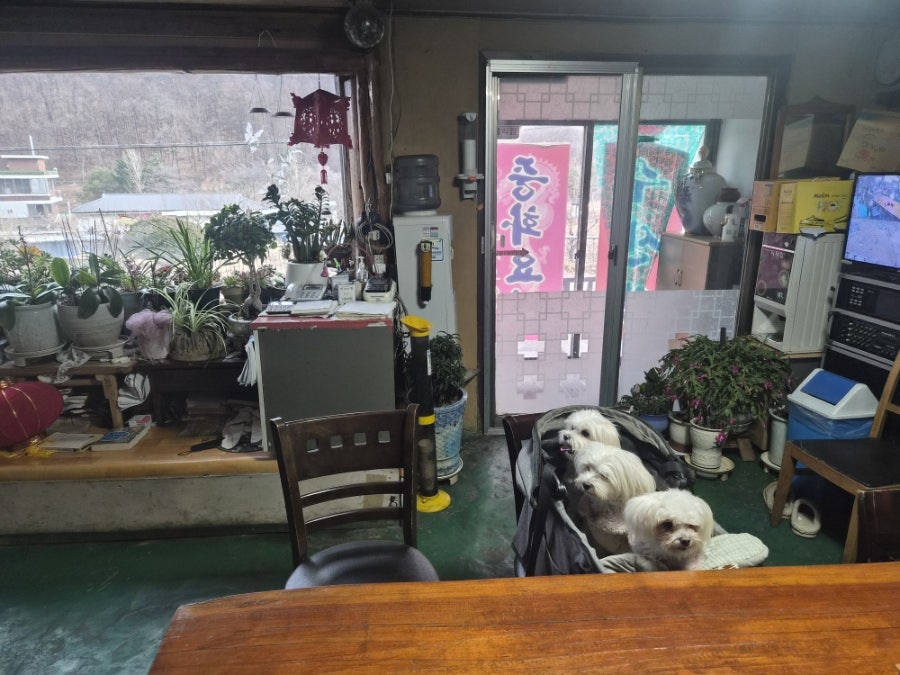 수산성 사진 4
