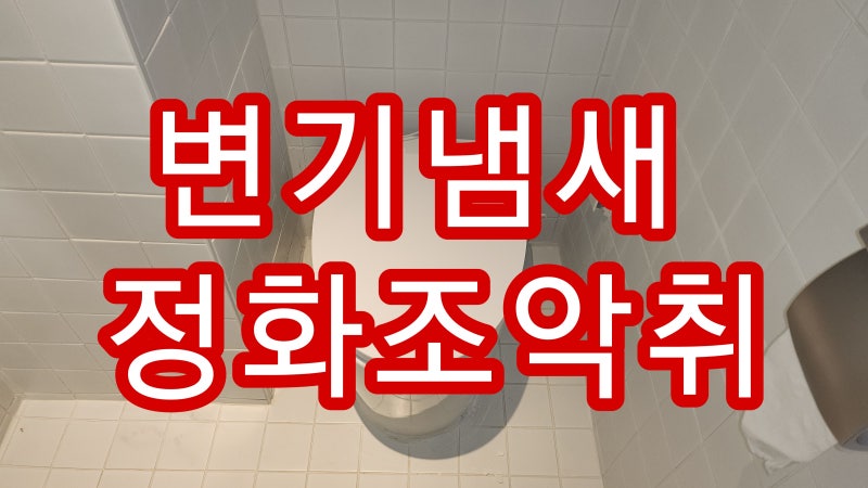 변기냄새제거 변기정화조냄새 비데일체형변기냄새제거 나방파리 제거 차단 방법 소변기암....