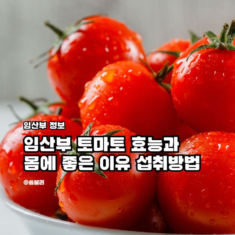 임산부 토마토 효능과 몸에 좋은 이유 섭취방법