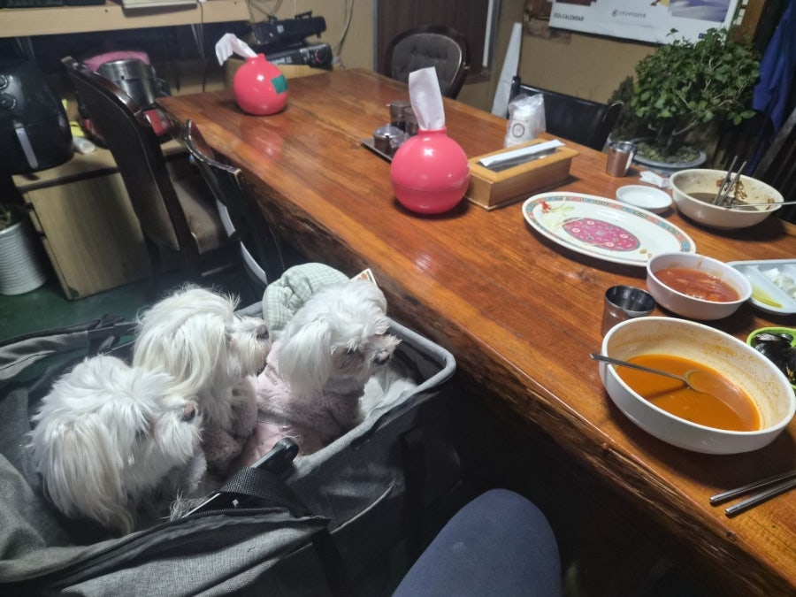 수산성 사진 6