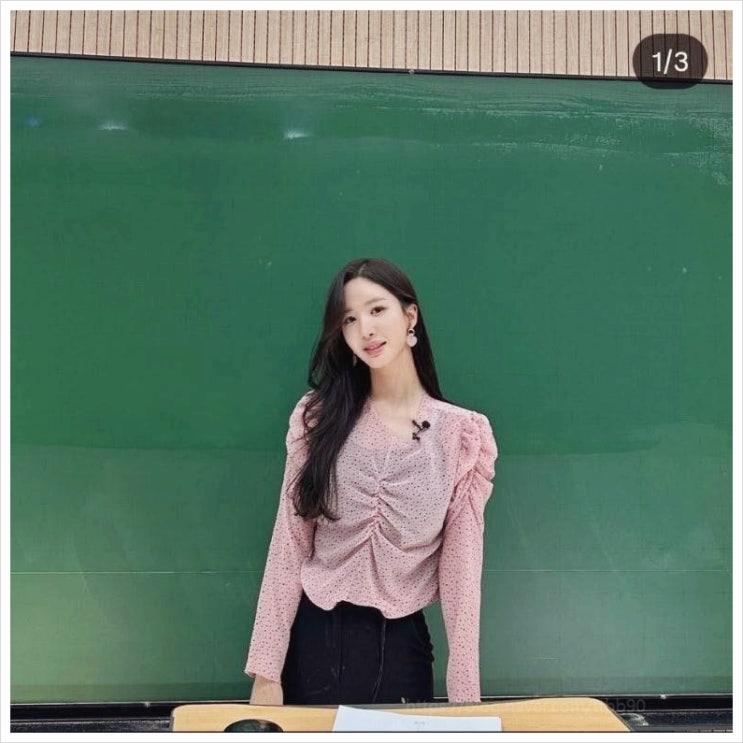  류시원 아내 와이프 이아영 수학강사 대치동 이투스 여신이라 불리는 이유와 그녀의 매력