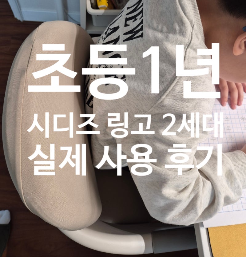 시디즈 초등 학생의자 링고 2세대 1년 실제 사용 후기
