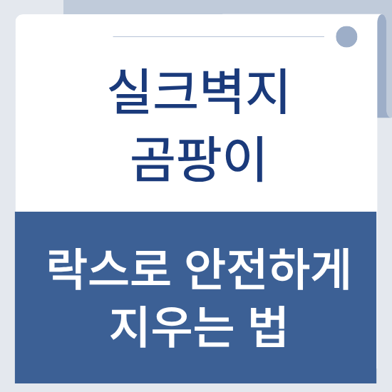 "아직도 비싼 제거제 사세요?" 전문 제거제 대신 실크벽지 곰팡이 락스를 고집하는 이유