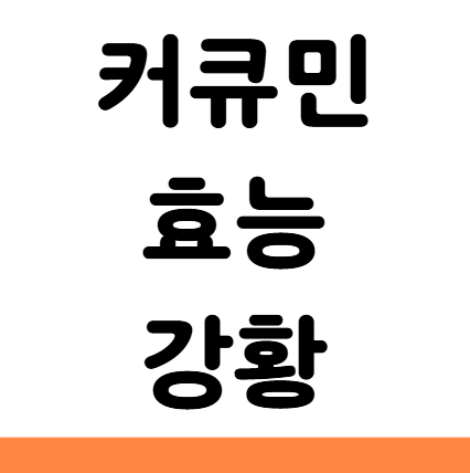  커큐민 효능 강황 영양제 먹는법 부작용