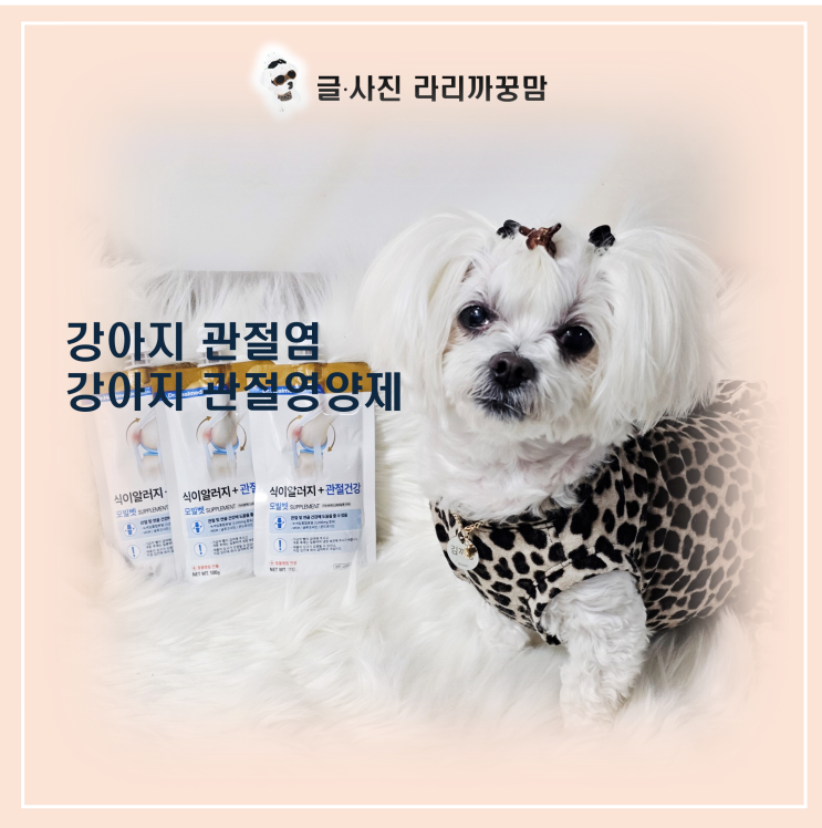  슬개골 수술 2번 한 13살 꿍이의 필수템! 강아지 관절 영양제