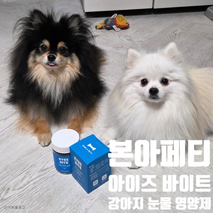  본아페티 아이즈 바이트 강아지 눈물자국 이유 눈물 개선 영양제