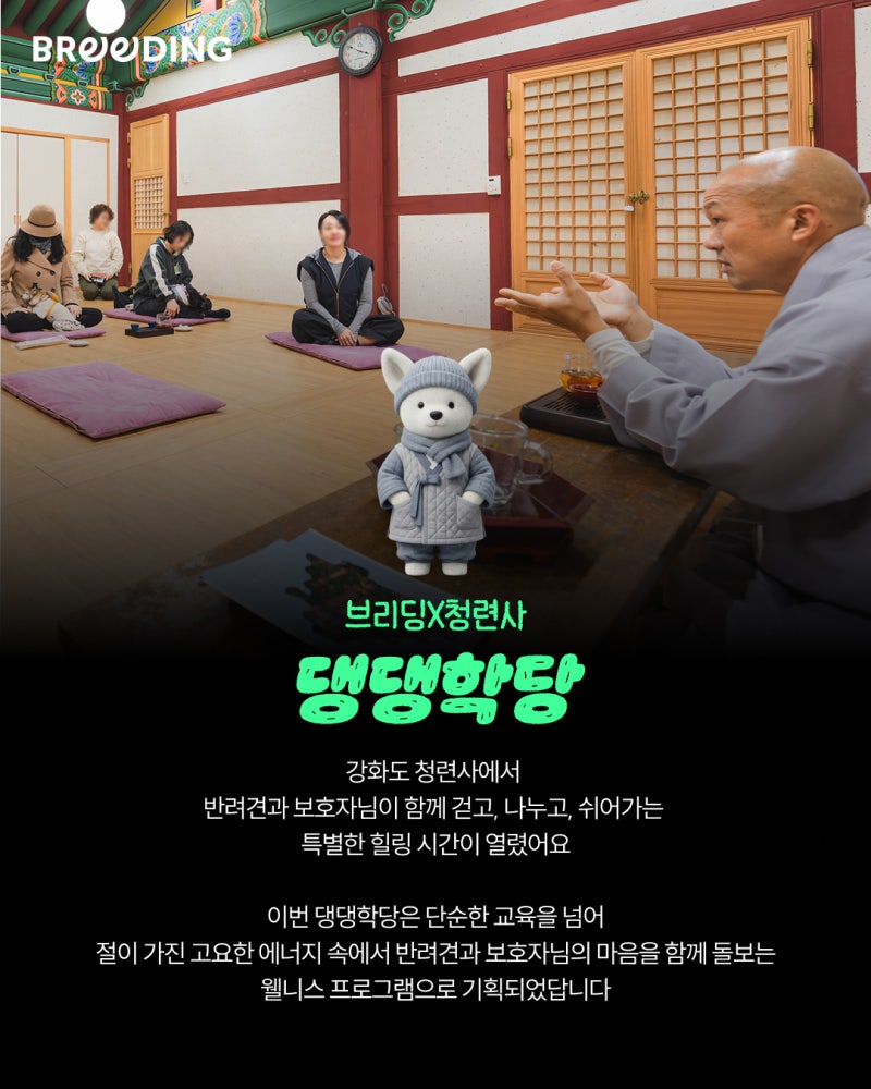 사진 7