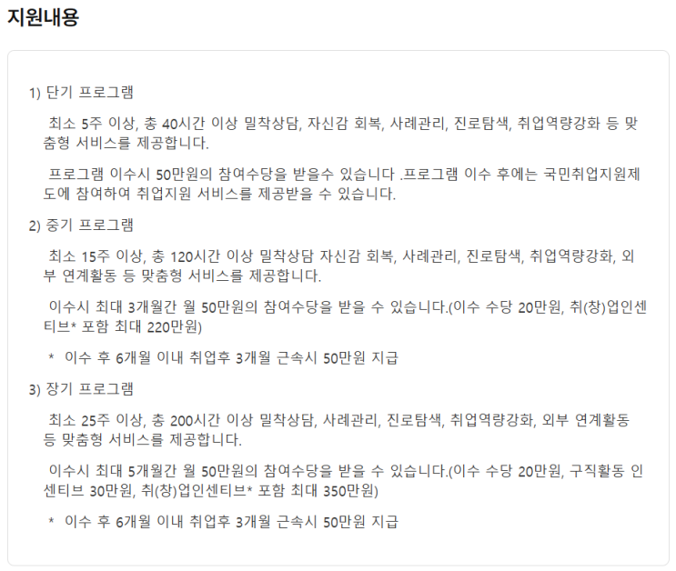  청년도전지원사업은 무엇이 다른가｜겹치는 청년 정책이 만든 구조적 공백