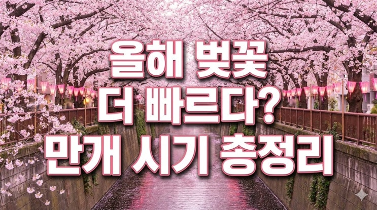  2026년 일본 벚꽃 개화시기 최신판! 오사카 도쿄 후쿠오카 예상 날짜 (1월 기준)