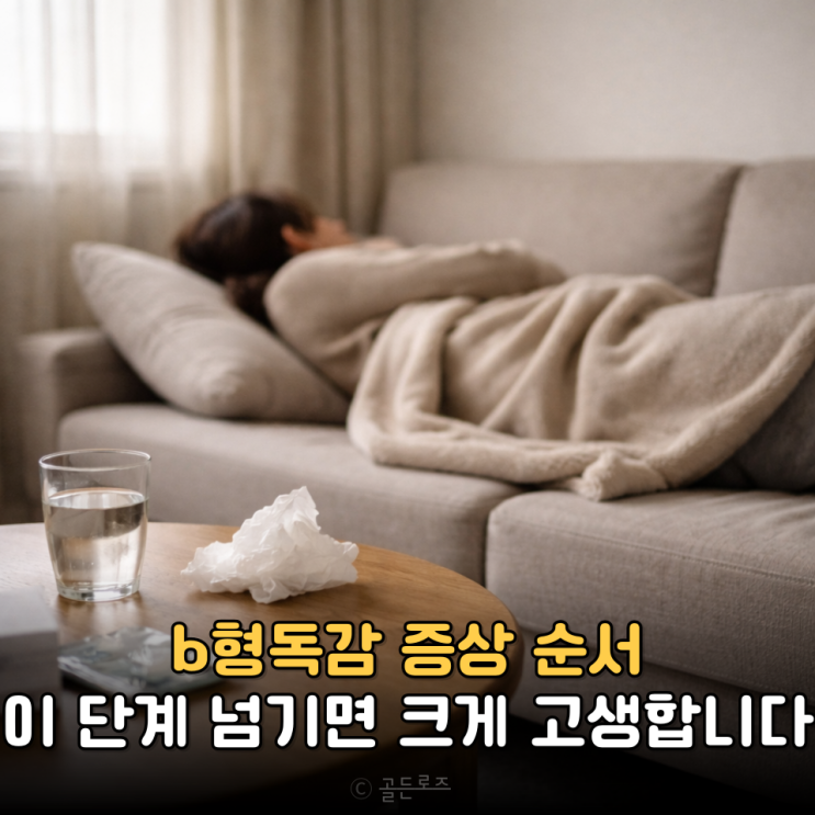  b형독감 증상 순서 모르고 넘기면 이 단계에서 크게 무너집니다