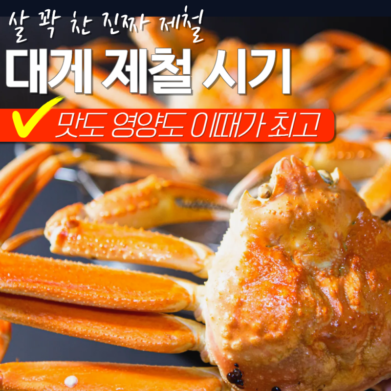 대게 제철 시기 철 언제? 킹크랩 차이