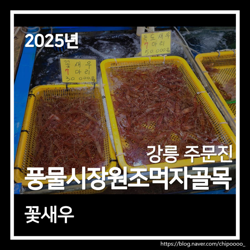 강원도 강릉 주문진 꽃새우 독도새우 솔직 후기 새우 구별 중요