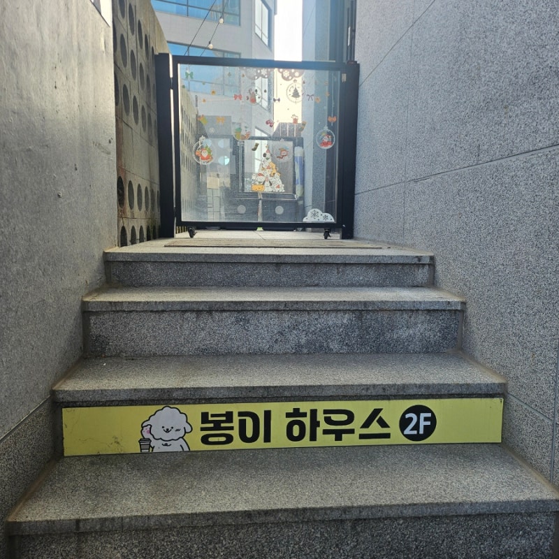 사진 6