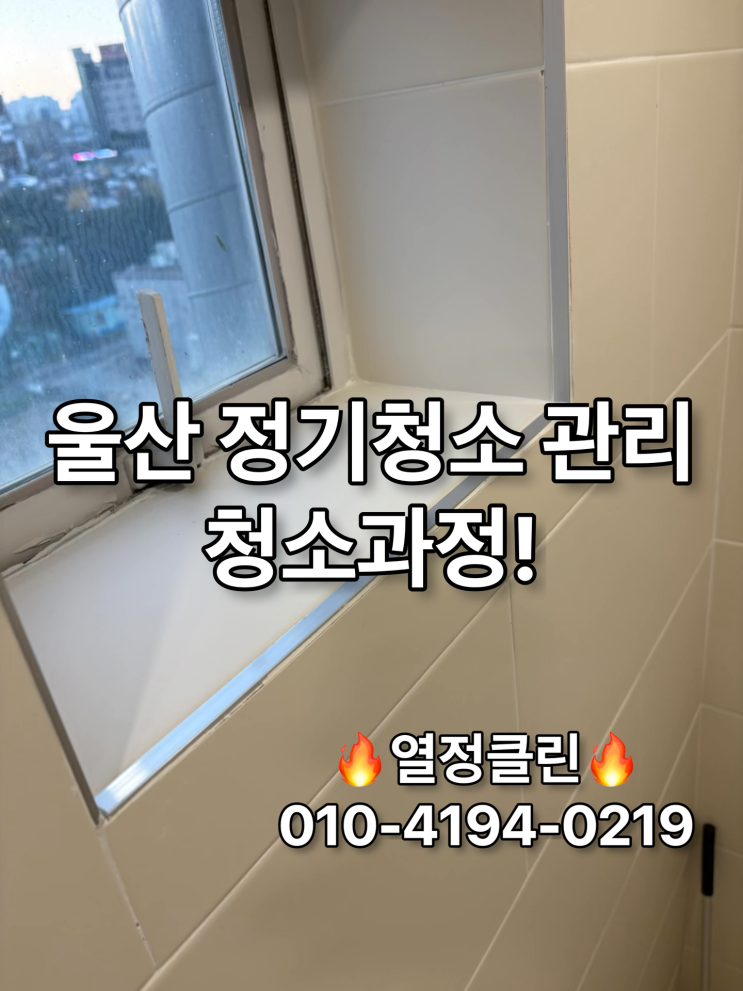  울산 정기 청소 전문 업체 청소 과정