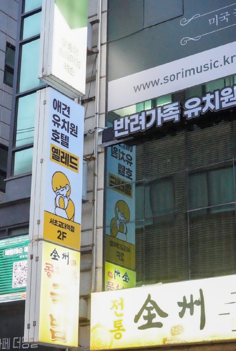 사진 6