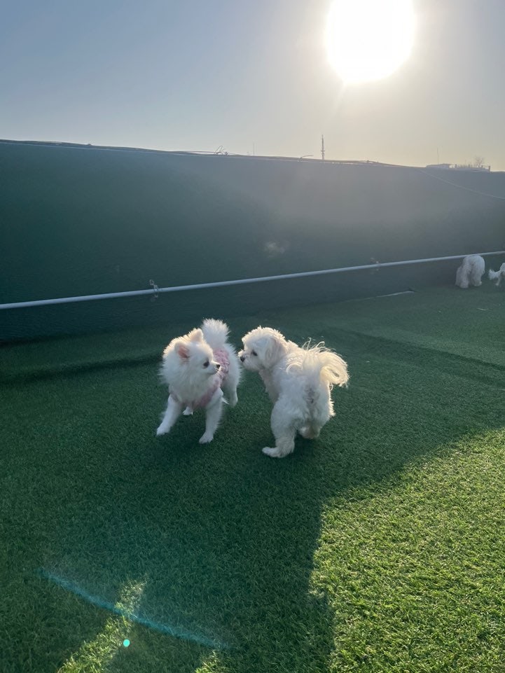 사진 9