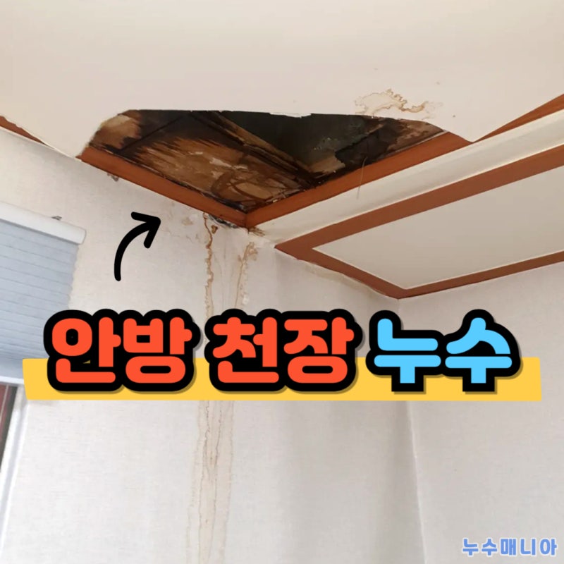 안방 천장 누수 원인 및 아랫집 천장 물샘 해결 방법