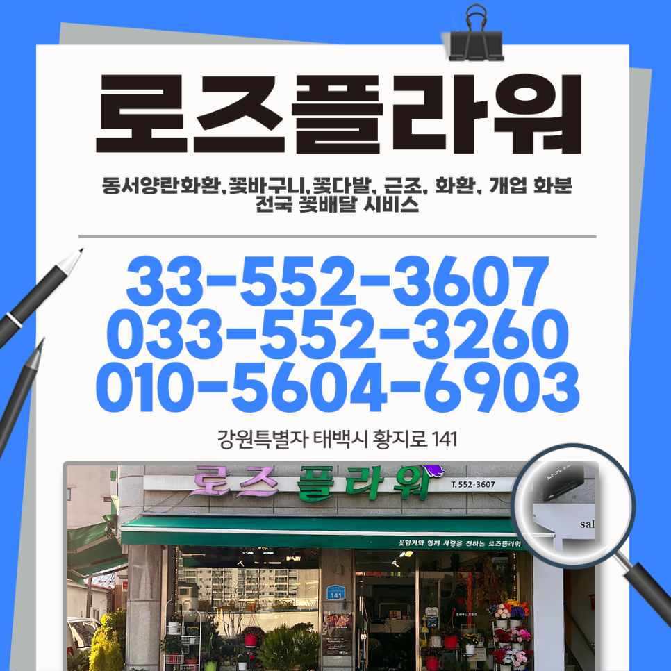 로즈플라워 사진 1
