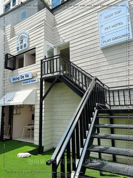 사진 2