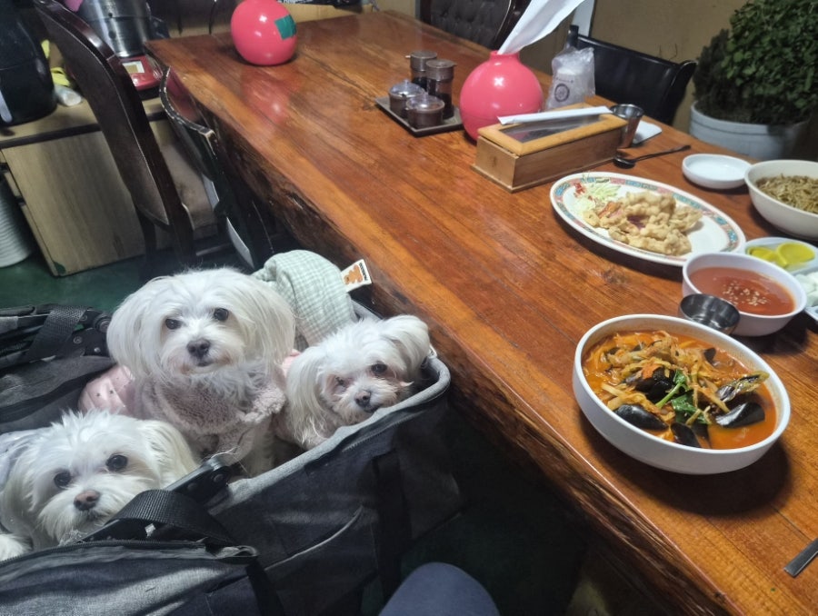 수산성 사진 5