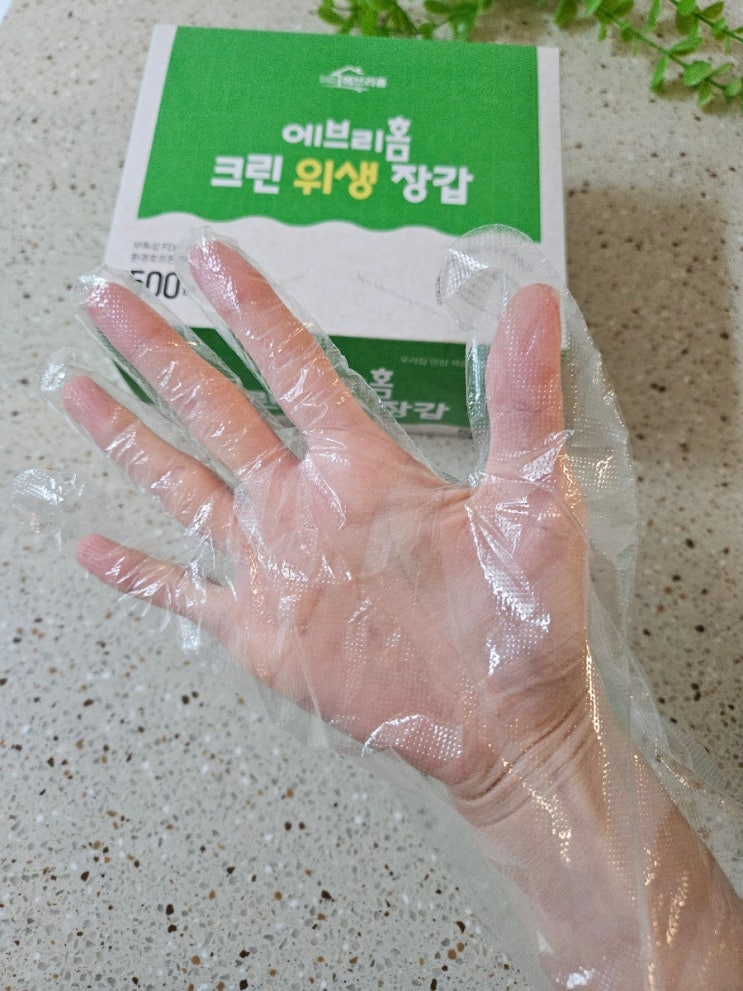  가성비 끝판왕! 에브리홈 크린 위생 장갑 500매｜매일 쓰기 좋은 일회용 비닐장갑 추천