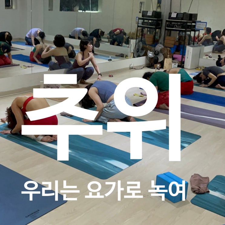  탄현역 헬스 고민 끝! 우리는 요가로 겨울 추위 녹이는 중