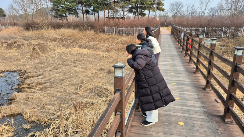 사진 6
