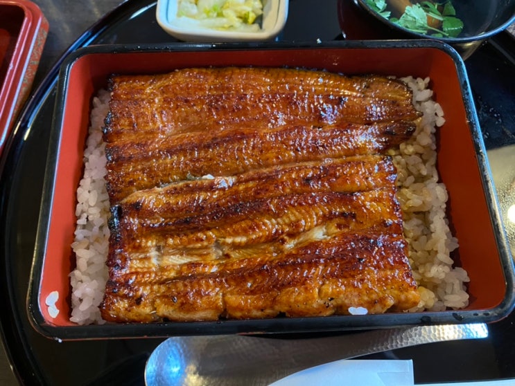  아사쿠사 우나테츠 국제거리_ 겉바속녹 장어덮밥ㅣ도쿄 맛집